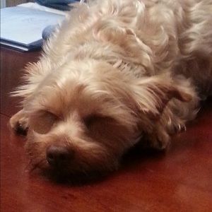 Meet your Posher, Sherrie